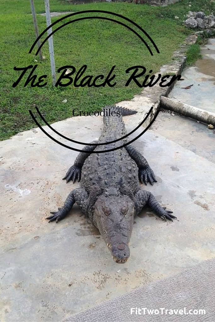 Black river jamaica crocodiles fittwotravel.com