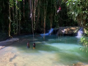 YS falls rope swing Jamaica