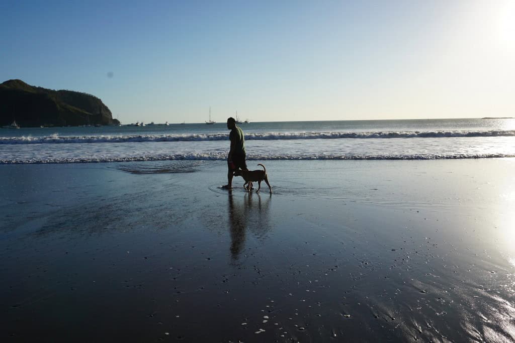 Mans Best Friend