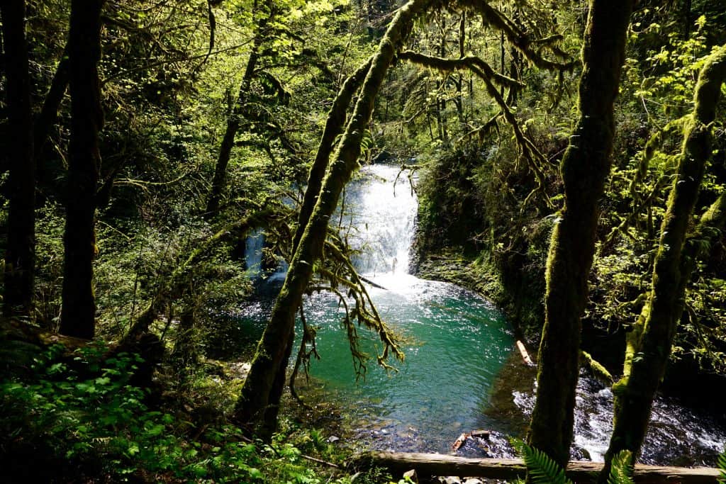 silver falls water fittwotravel.com