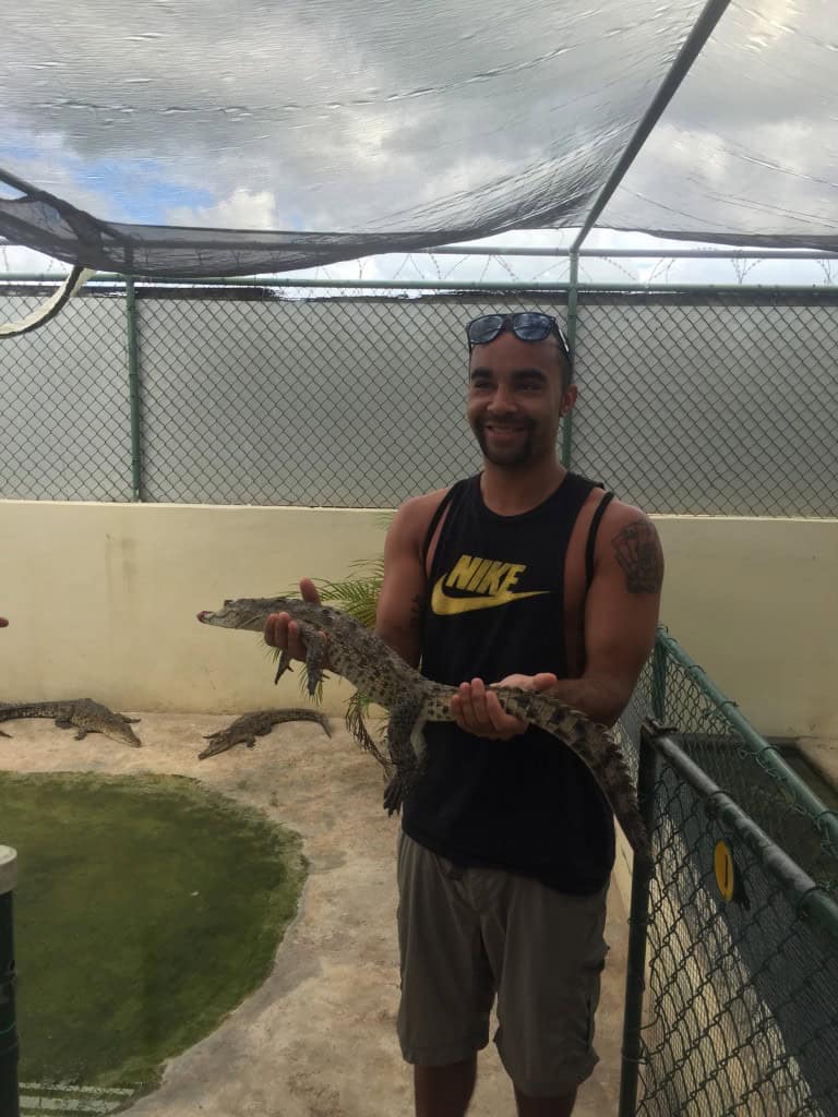 swimming with crocodiles black river jamaica