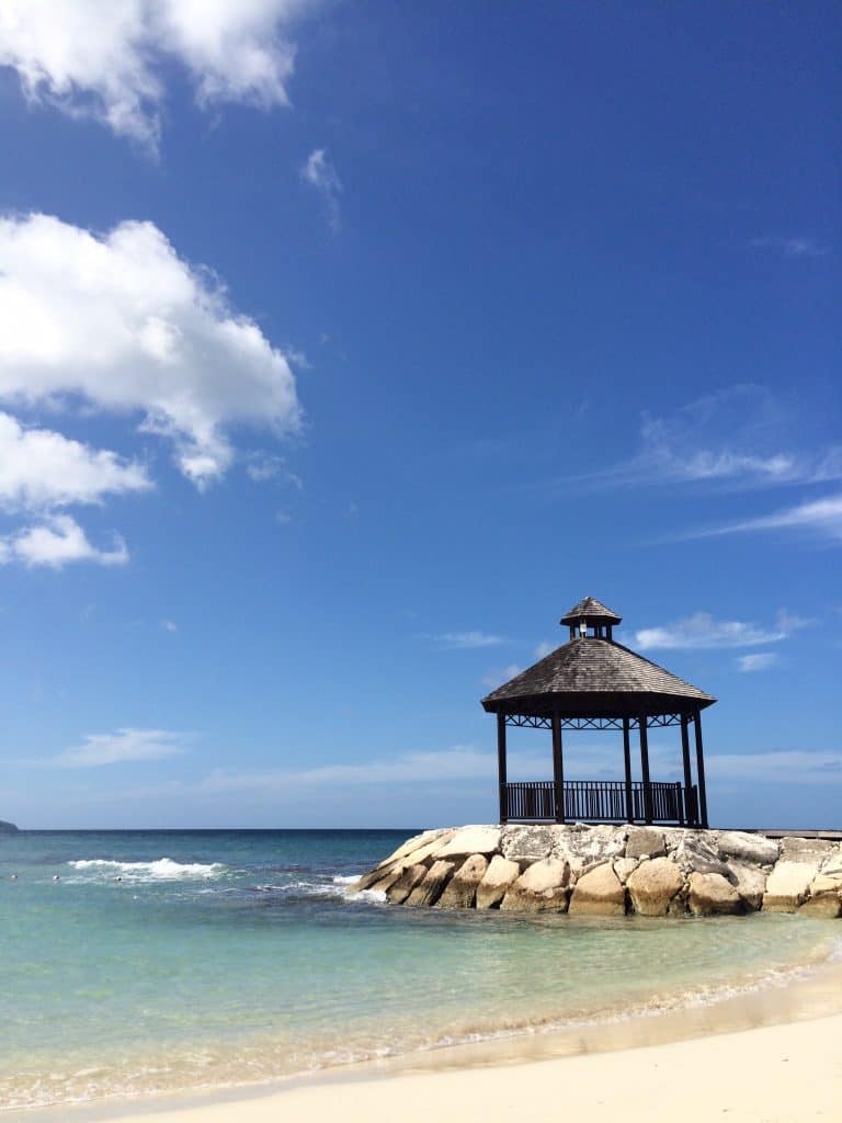 secrets wild orchid fittwotravel.com