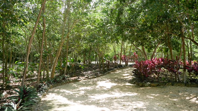 hacienda tres rios eco-friendly hotel mexico fittwotravel.com