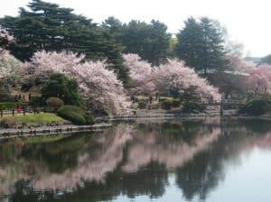 tokyo-2019bucketlist- travelsisters