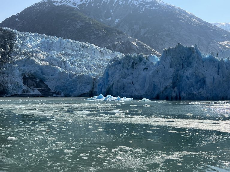 Endicott arm Alaska